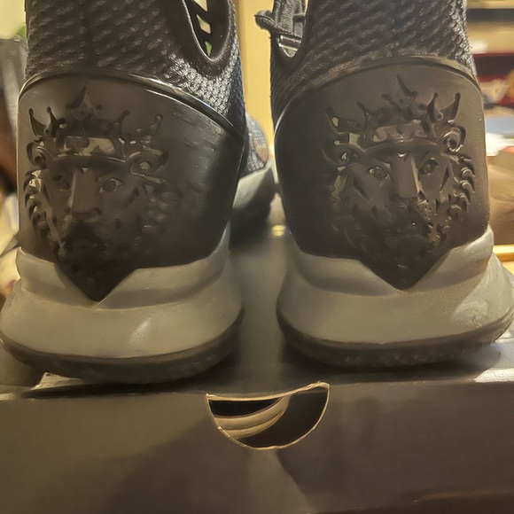 Lebron Witness - Picture 2 of 3